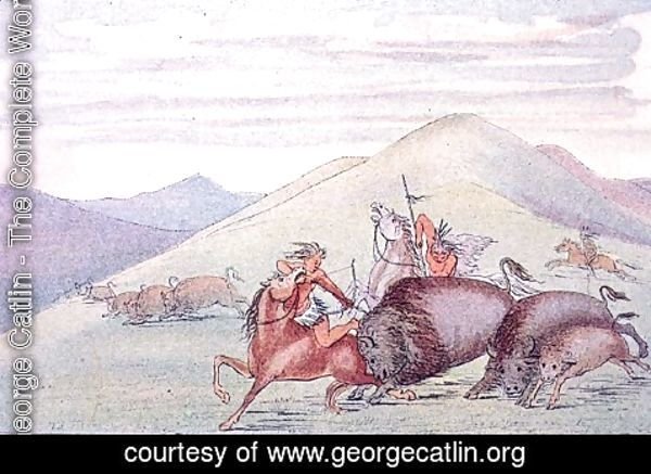 George Catlin - Buffalo bull protecting calf and mother under attack