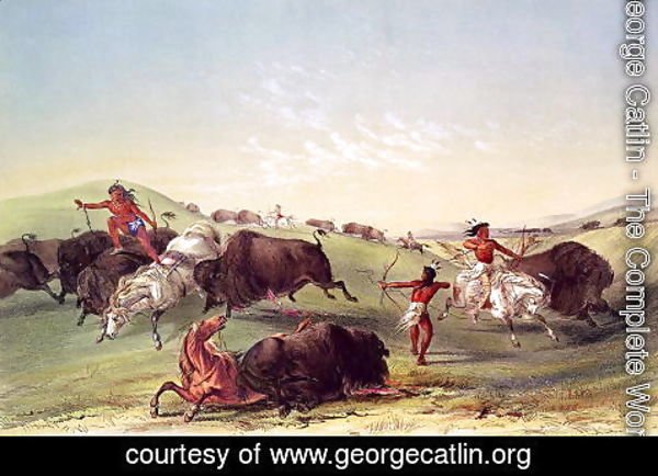 George Catlin - Buffalo Hunt, plate 7 from Catlin's North American Indian Collection