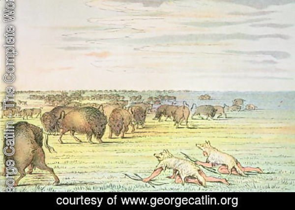 George Catlin - Stalking buffalo