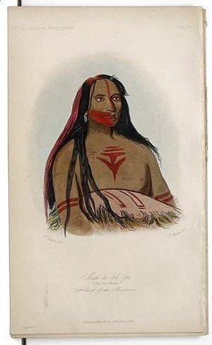 George Catlin - Mah-to--toh-pa, 2nd Chief of the Mandans