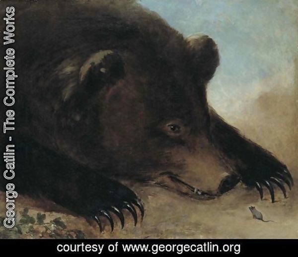 George Catlin - Portraits of Grizzly Bear and Mouse