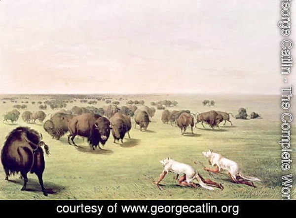George Catlin - Hunting Buffalo Camouflaged with Wolf Skins, c.1832