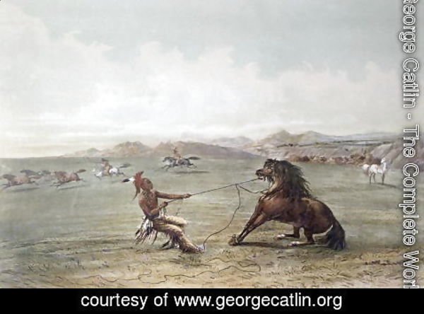 George Catlin - Catching Wild Horses on the Plains