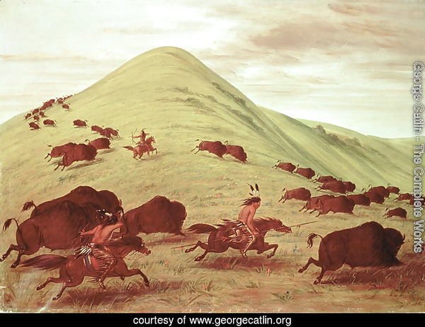 Sioux Indians hunting buffalo, 1835