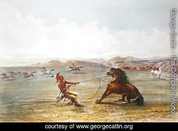 Osage hunters catching wild horses