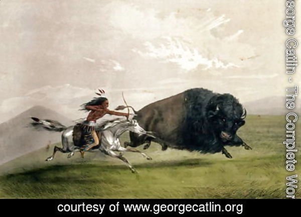 George Catlin - The Buffalo Chase 'Singling Out'