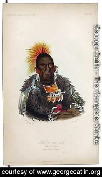 George Catlin - Wah ro nee sah, An Ottoe Chief
