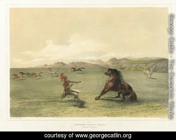 Catching The Wild Horse And Buffalo Hunt, Under The White Wolf Skin