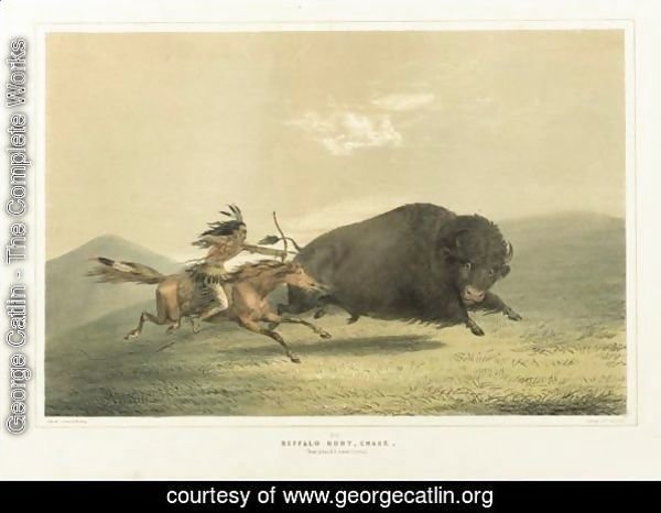 Buffalo Hunt, Chase And Antelope Shooting